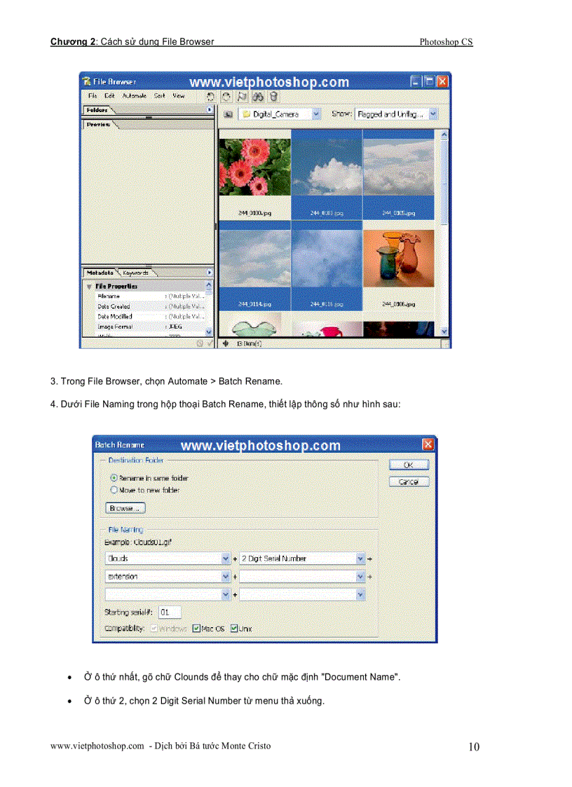 image for page Cách sử dụng File Browser trong photoshop