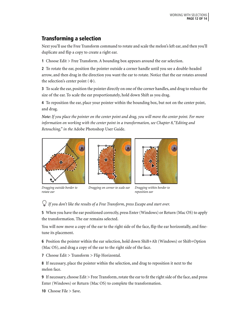 image for page Working with Selections