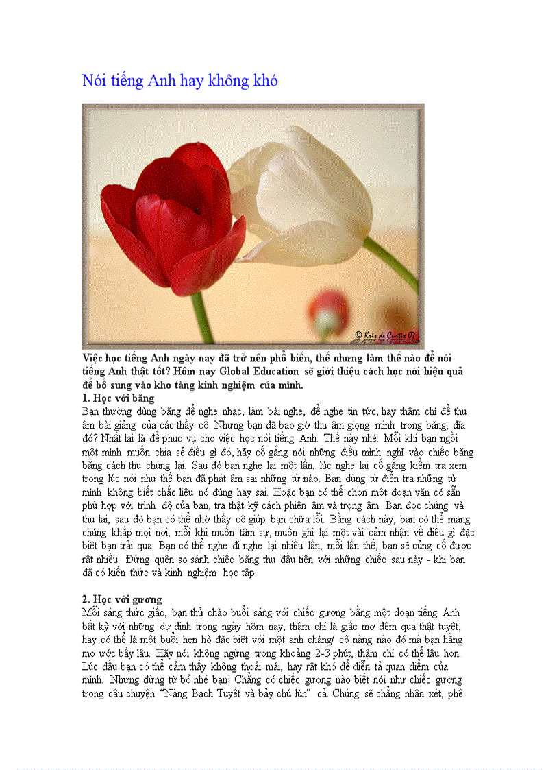 image for page Nói tiếng Anh hay không khó