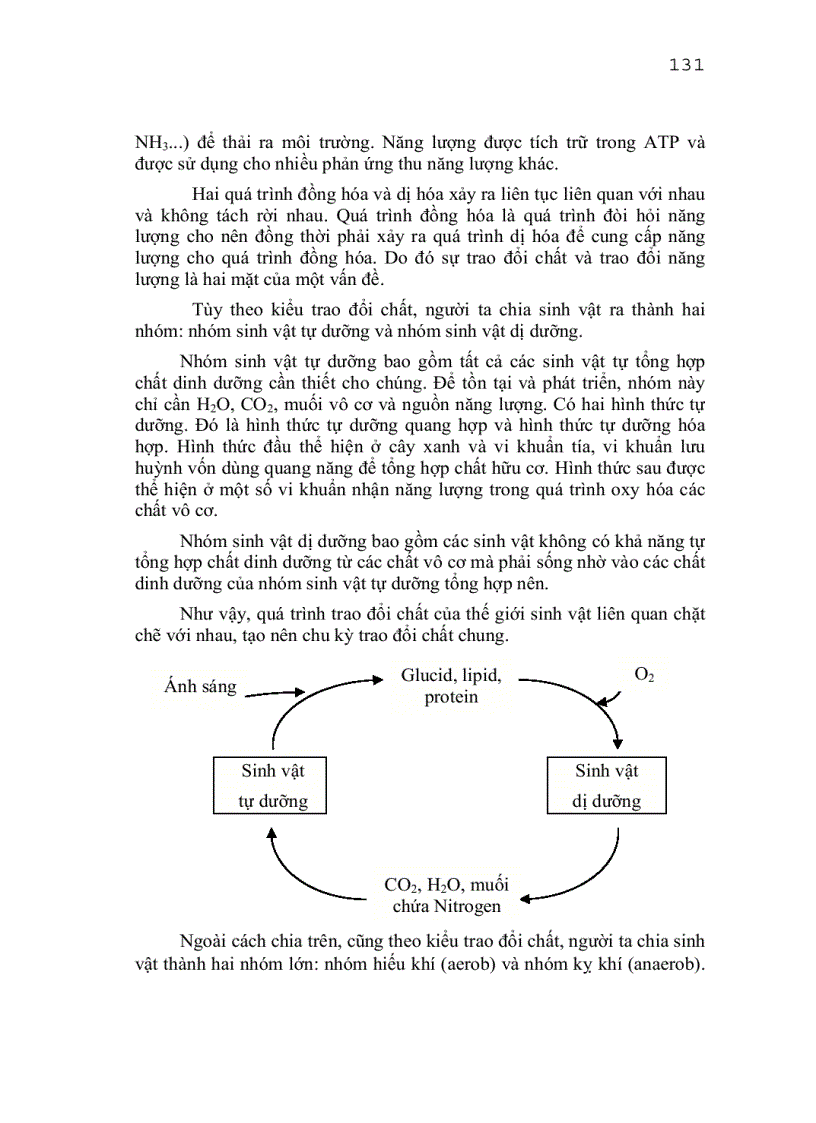 image for page Khái niệm về sự trao đổi chất và trao đổi năng lượng