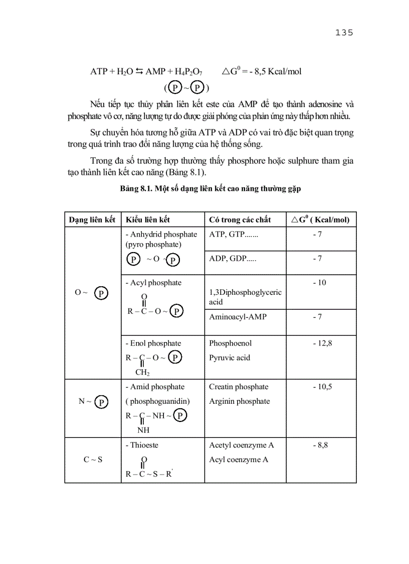 image for page Khái niệm về sự trao đổi chất và trao đổi năng lượng
