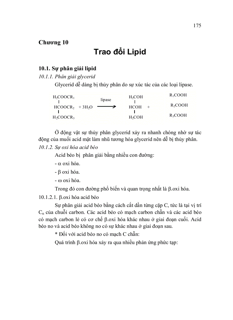 image for page Trao đổi Lipid