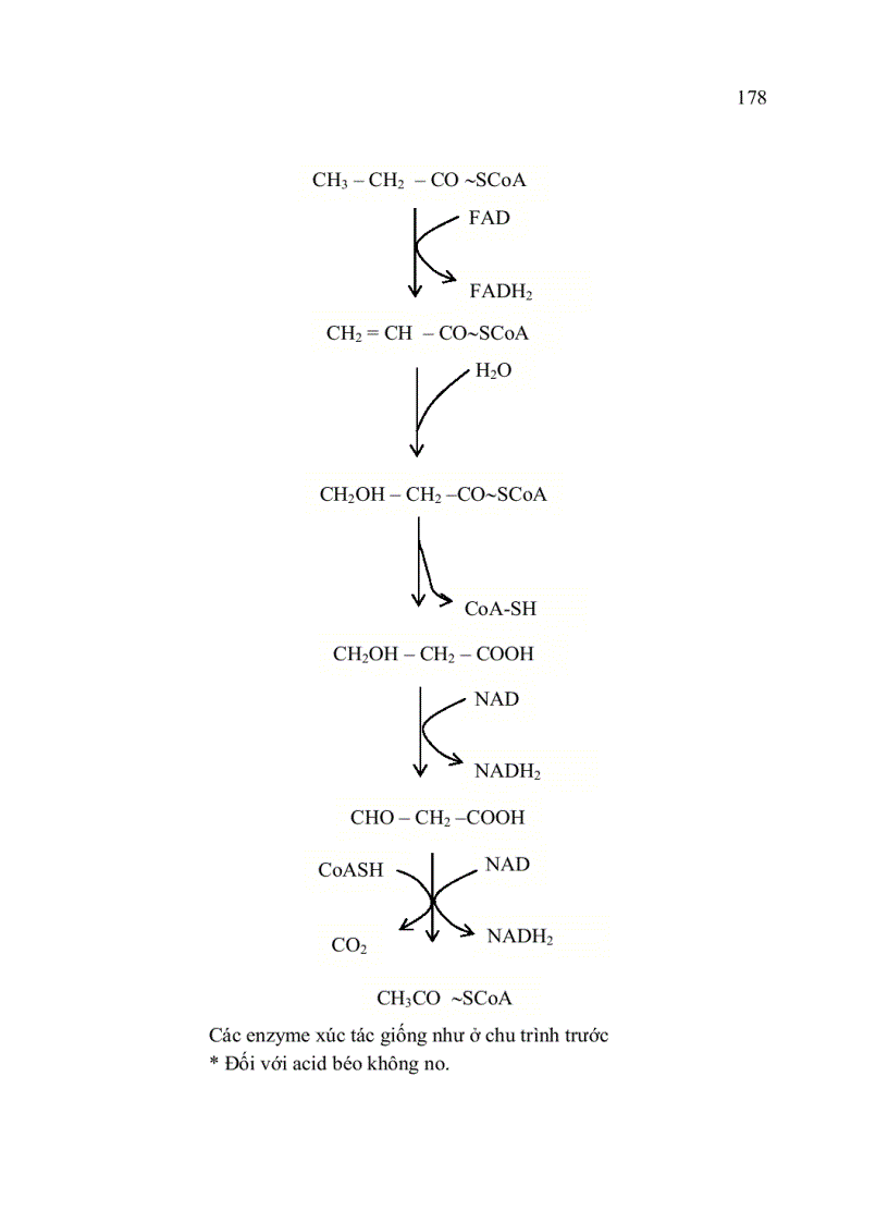 image for page Trao đổi Lipid