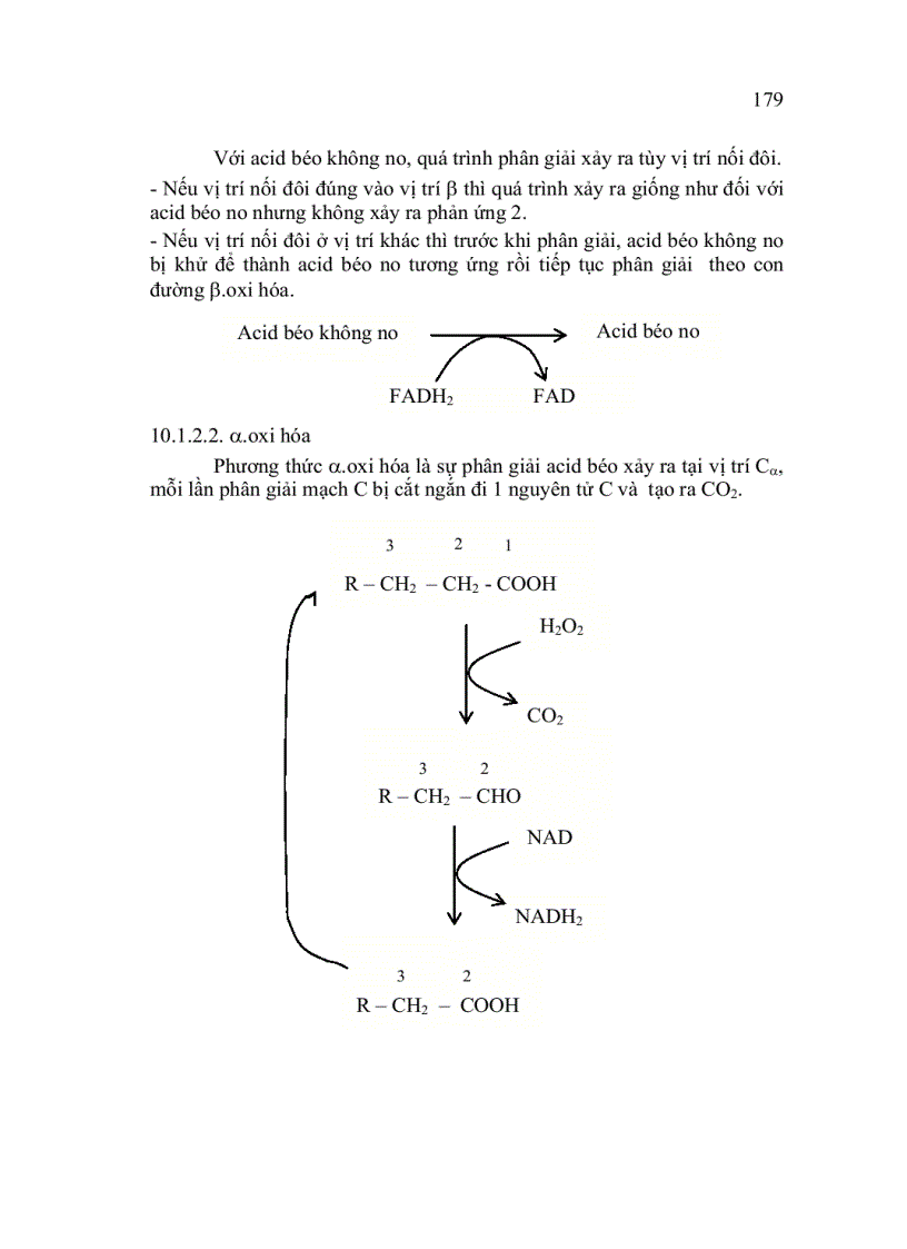 image for page Trao đổi Lipid