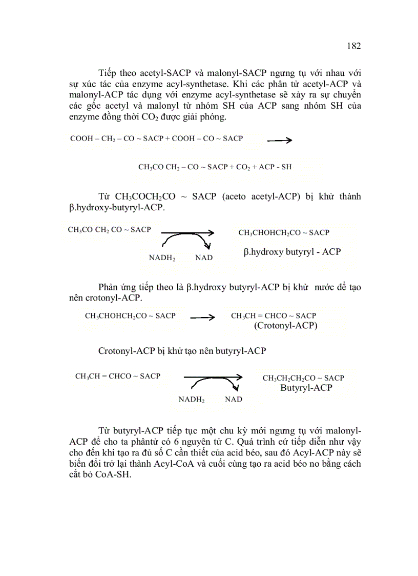 image for page Trao đổi Lipid