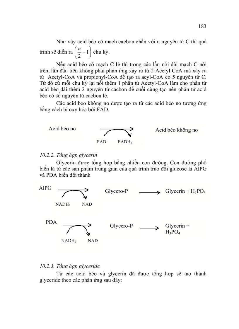 image for page Trao đổi Lipid