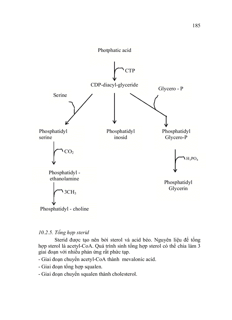 image for page Trao đổi Lipid