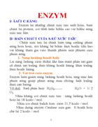Enzym