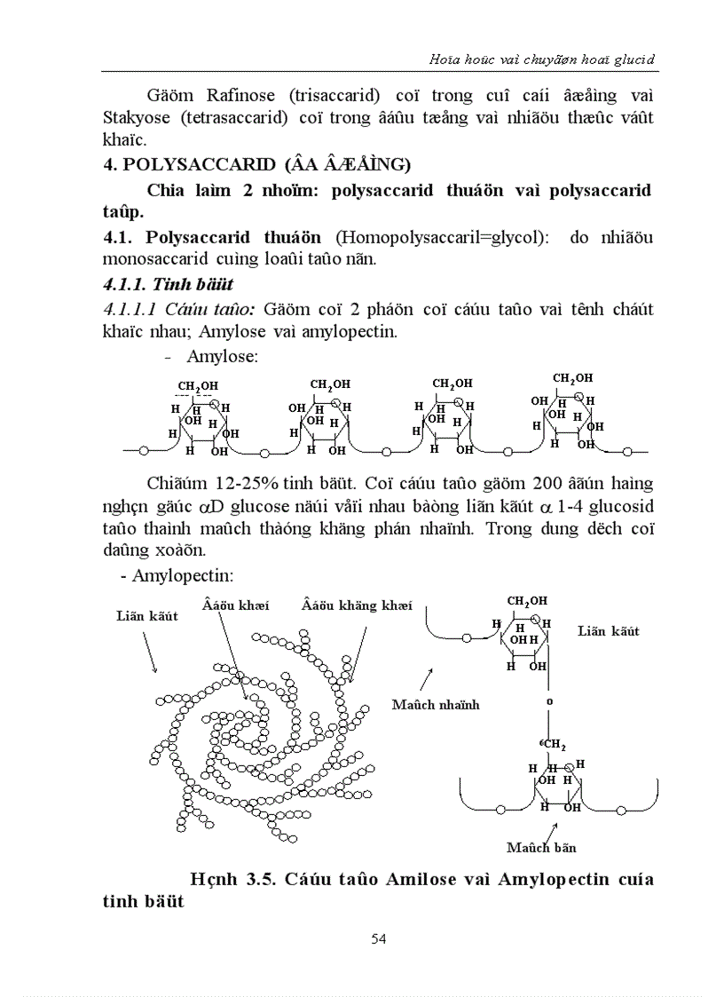 image for page Hóa học và chuyển hoá glucid