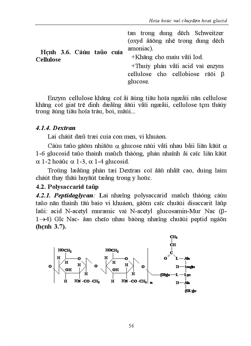 image for page Hóa học và chuyển hoá glucid