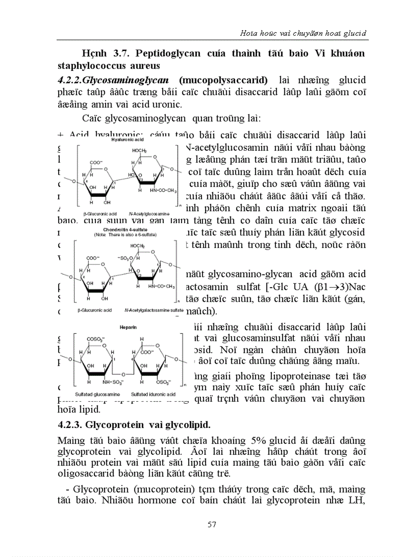 image for page Hóa học và chuyển hoá glucid