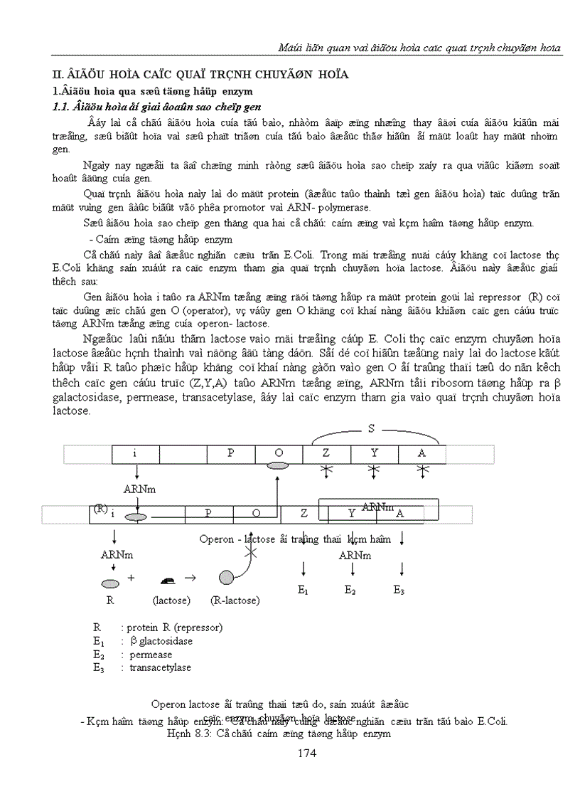 image for page Mối liên quan và điều hòa các quá trình chuyển hóa