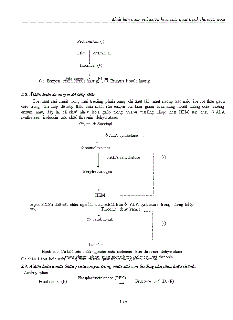 image for page Mối liên quan và điều hòa các quá trình chuyển hóa