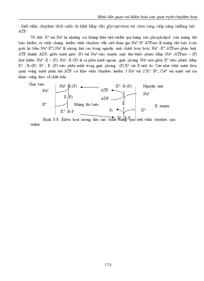 image for page Mối liên quan và điều hòa các quá trình chuyển hóa
