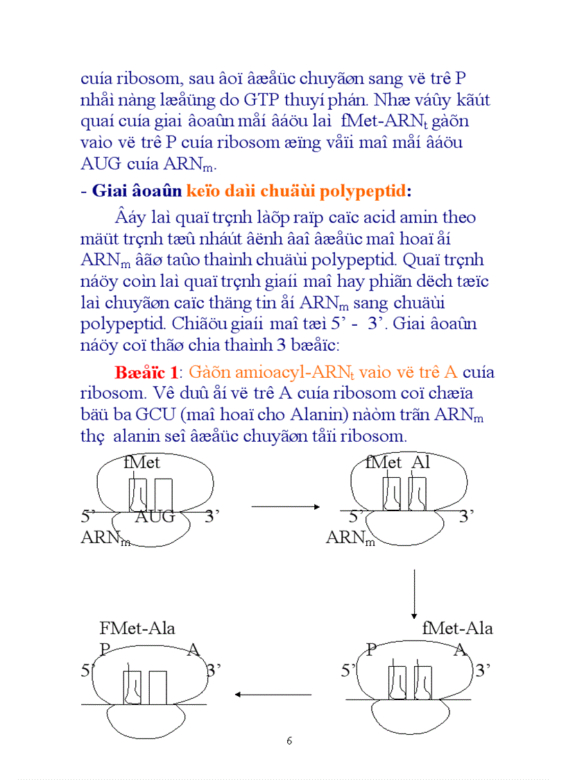 image for page Sinh tổng hợp protein