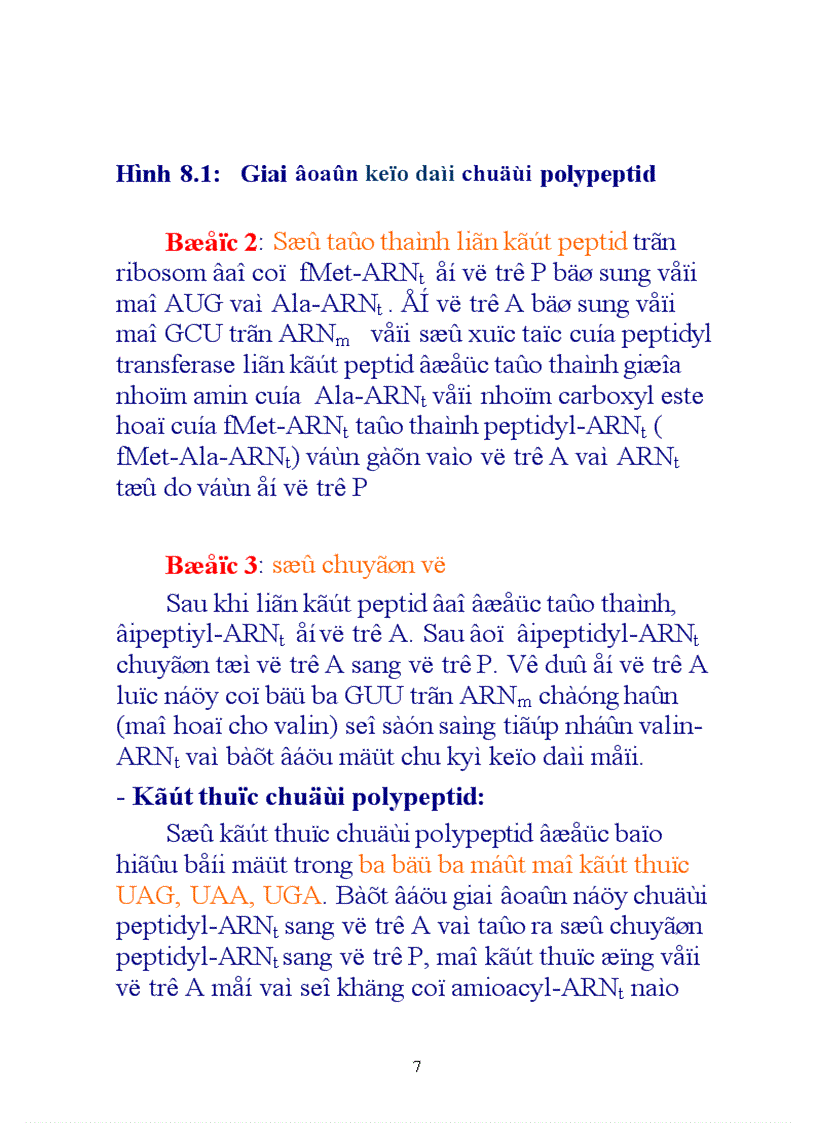 image for page Sinh tổng hợp protein