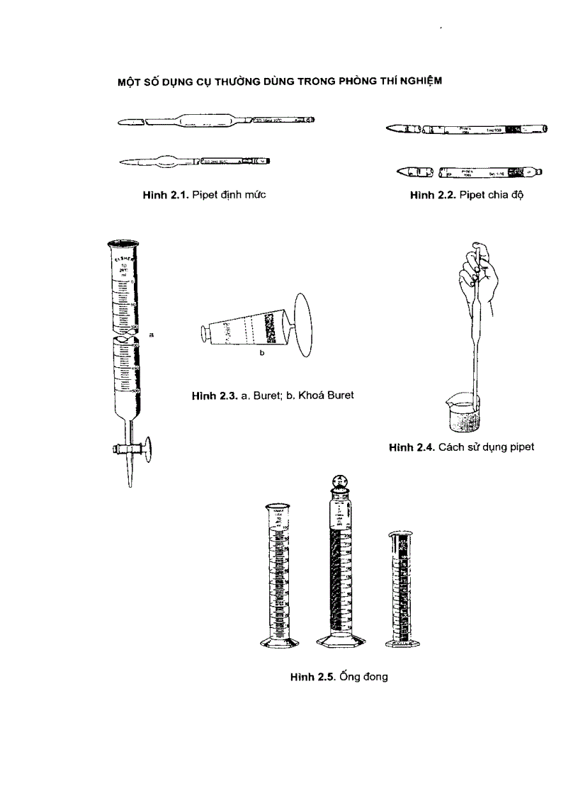 image for page Thực tập hóa sinh