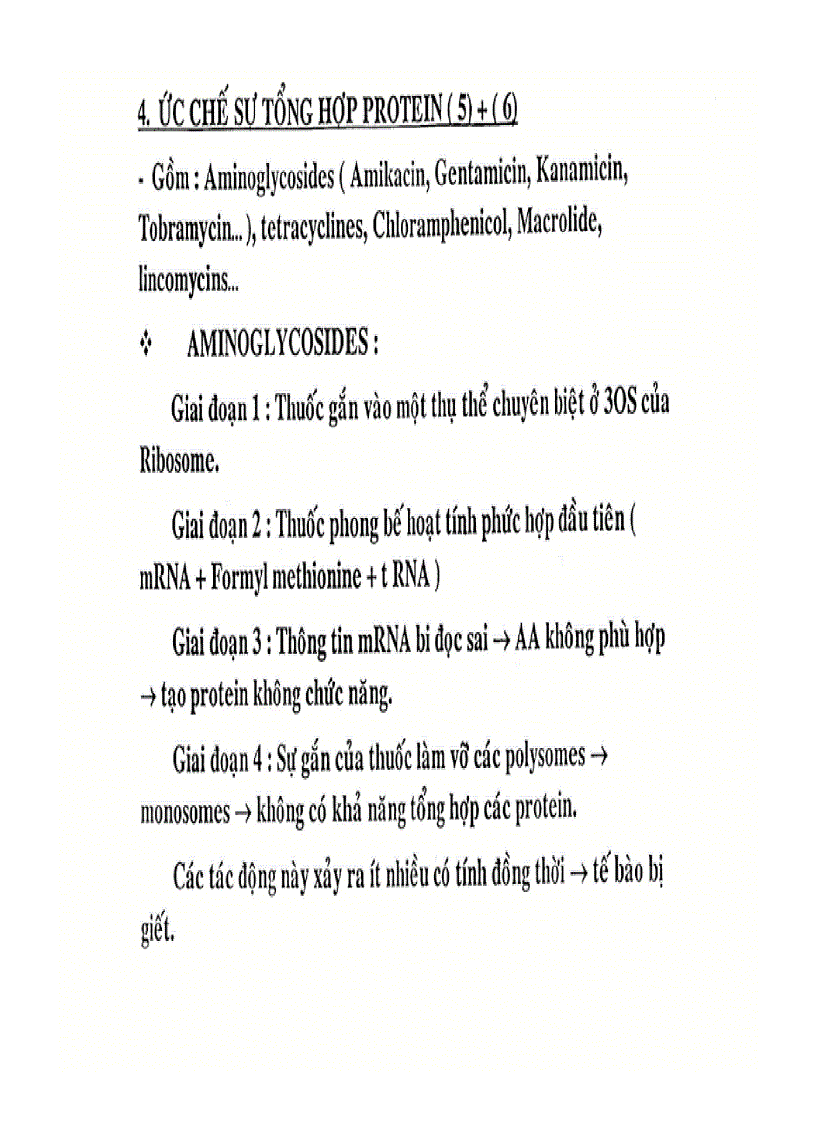 image for page Thuốc kháng sinh