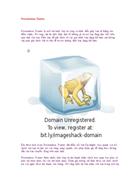 Presentation Pointer