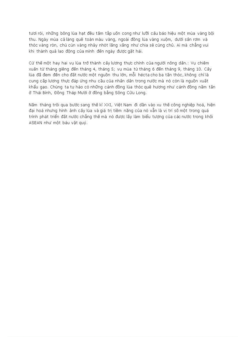 image for page Thuyết minh về cây lúa việt nam