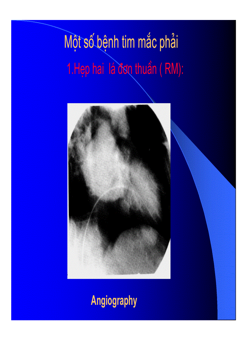 image for page Thực hành x quang trong tim mạch