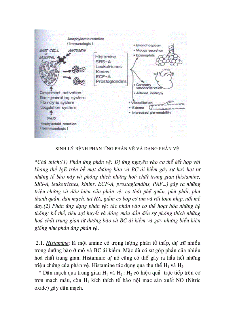 image for page Phản vệ