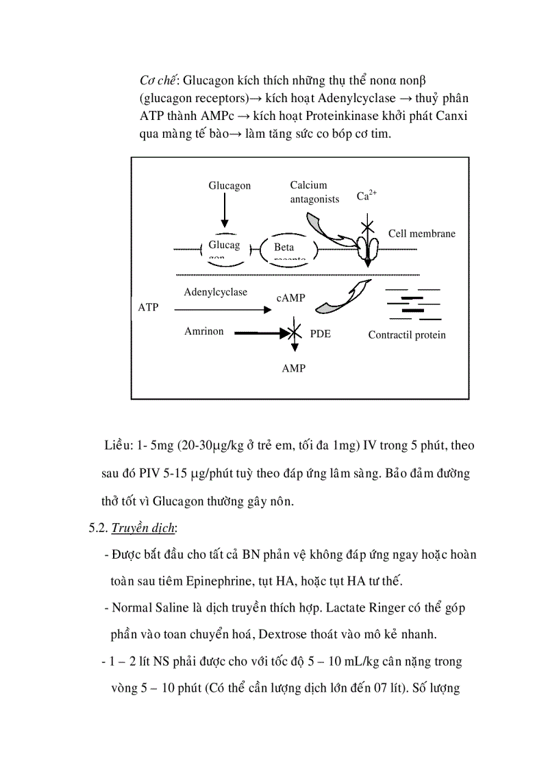 image for page Phản vệ