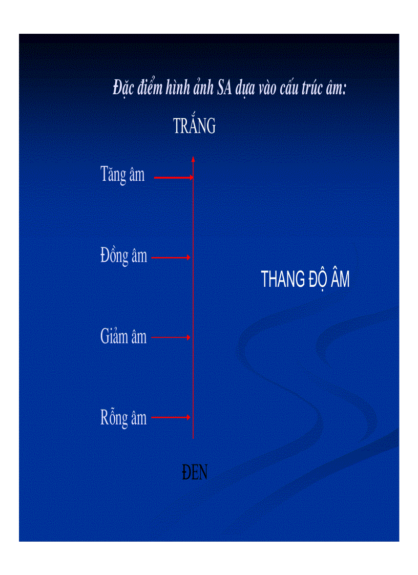 image for page Chẩn đoán hình ảnh gan mật