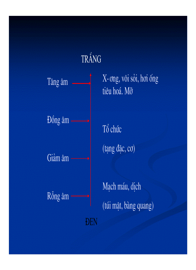 image for page Chẩn đoán hình ảnh gan mật