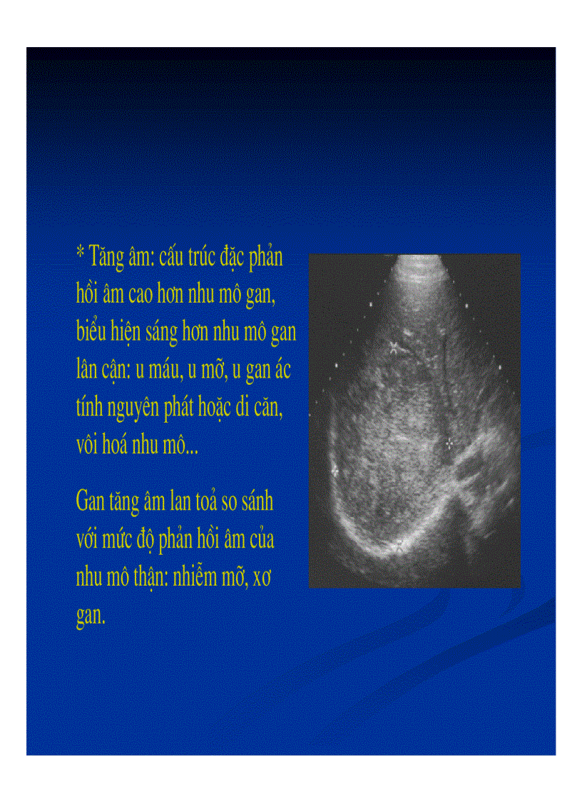 image for page Chẩn đoán hình ảnh gan mật