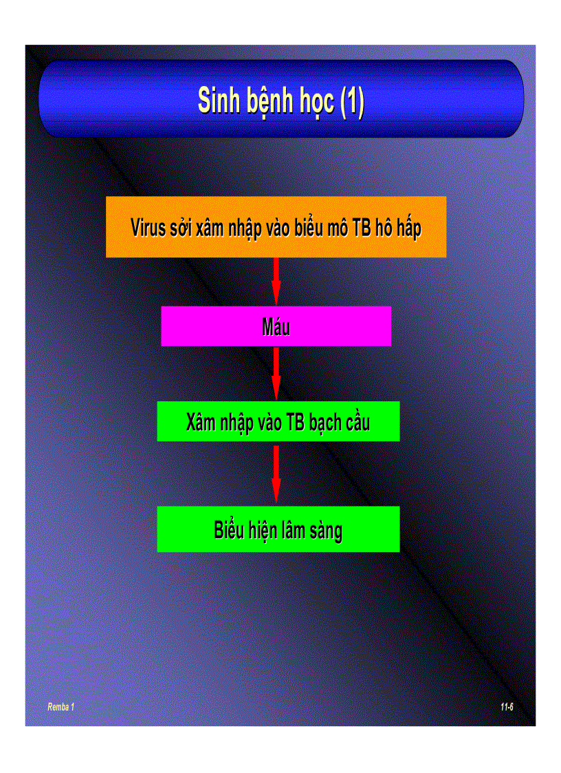 image for page Bệnh sởi
