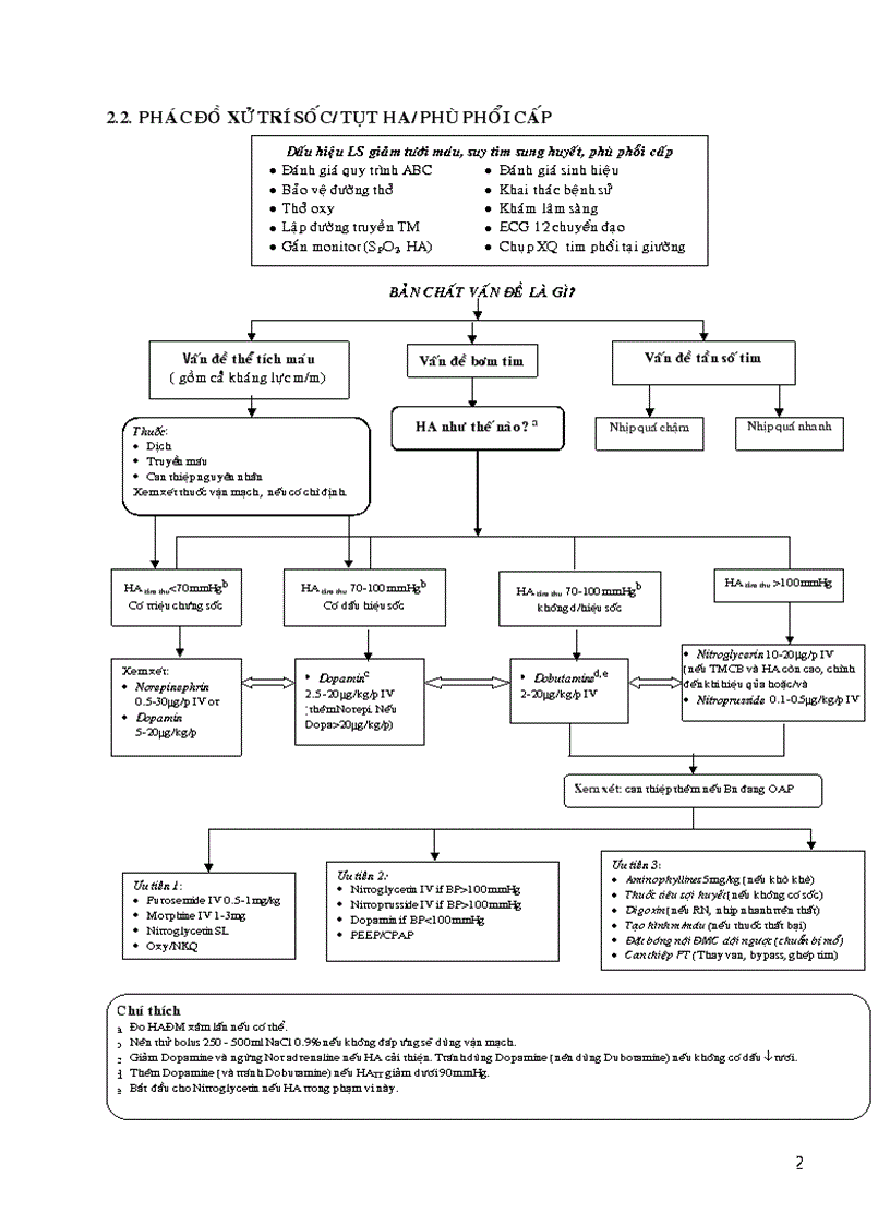 image for page Hướng dẫn chẩn đoán và xử trí sốc