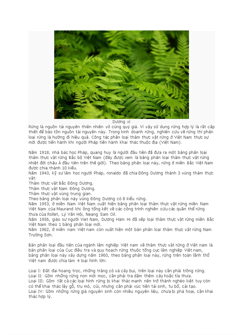 image for page Phân loại thảm thực vật rừng ở việt nam