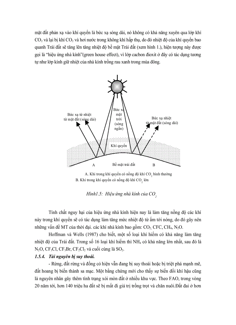 image for page Các chức năng chủ yếu của môi trường
