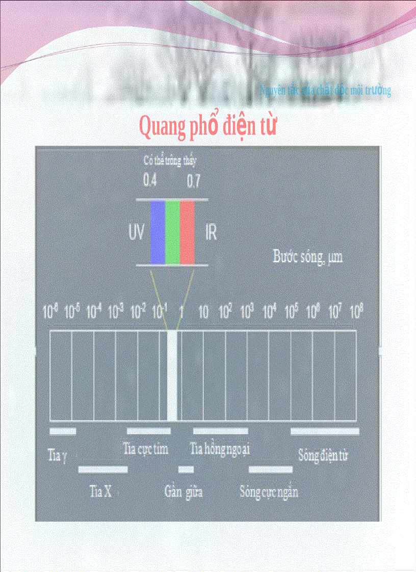 image for page Tiểu luận độc học môi trường Biến đổi vô sinh trong môi trường