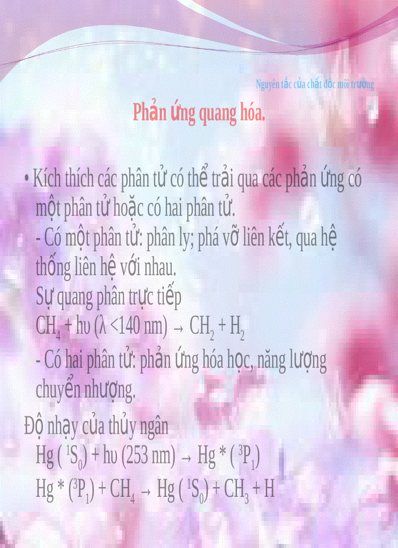 image for page Tiểu luận độc học môi trường Biến đổi vô sinh trong môi trường