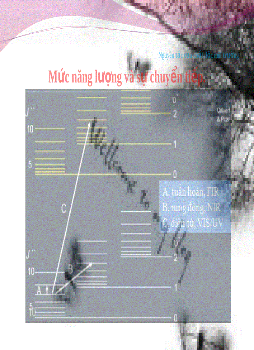 image for page Tiểu luận độc học môi trường Biến đổi vô sinh trong môi trường