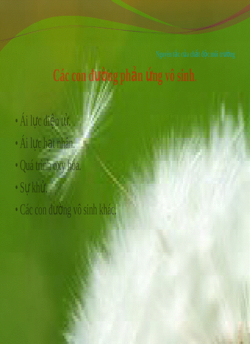 image for page Tiểu luận độc học môi trường Biến đổi vô sinh trong môi trường