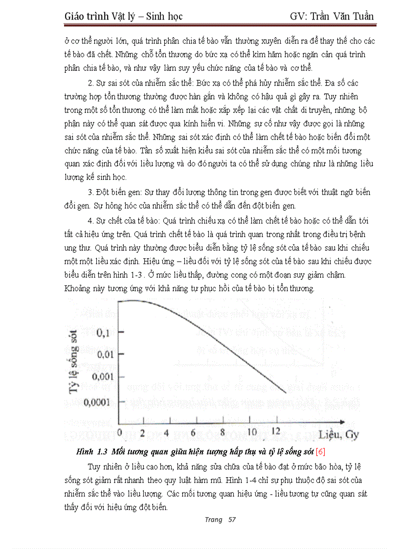 image for page Giáo trình Vật lý sinh học giáo trình cao đẳng Y Dược