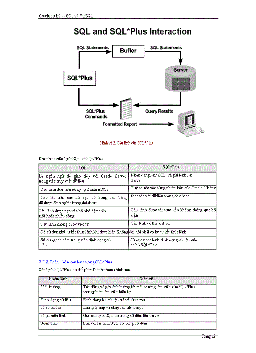 image for page SQL và PL SQL cơ bản