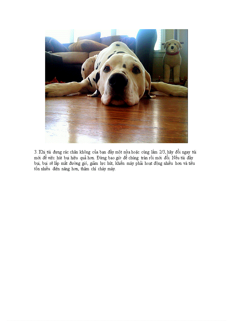 image for page 10 cách sử dụng máy hút bụi hiệu quả