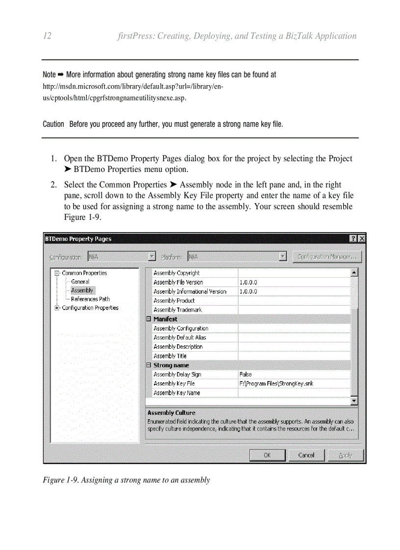 image for page First Steps Developing BizTalk Applications