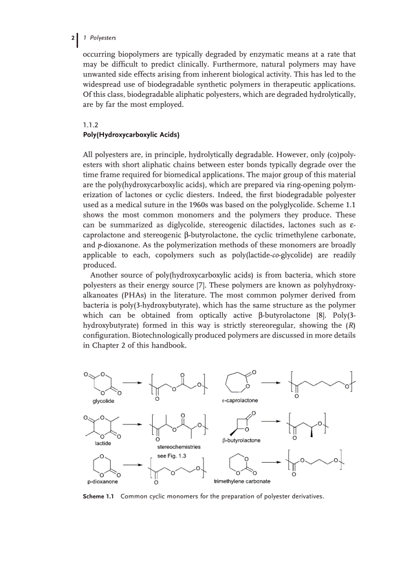 image for page Handbook of Biodegradable Polymers