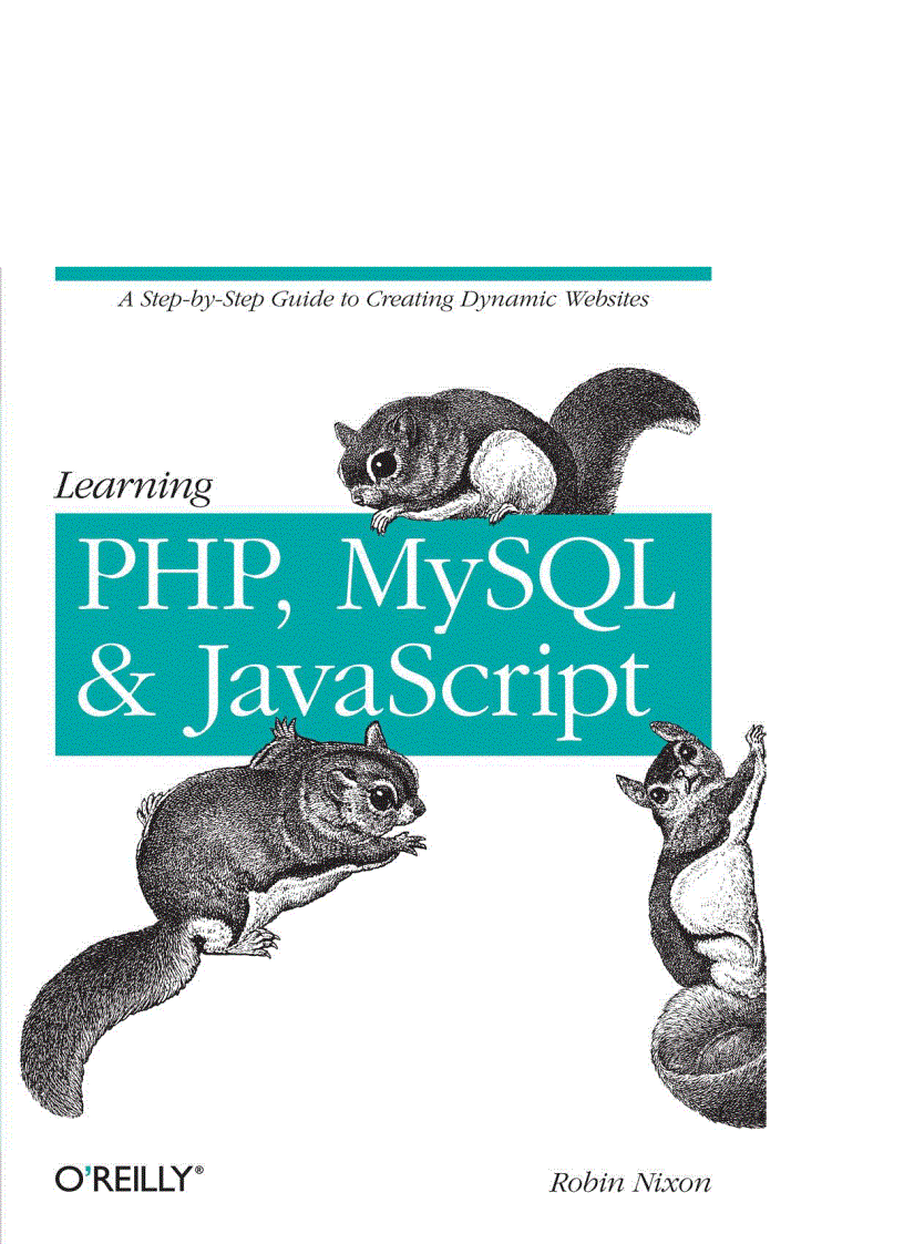 Learning PHP MySQL and JavaScript