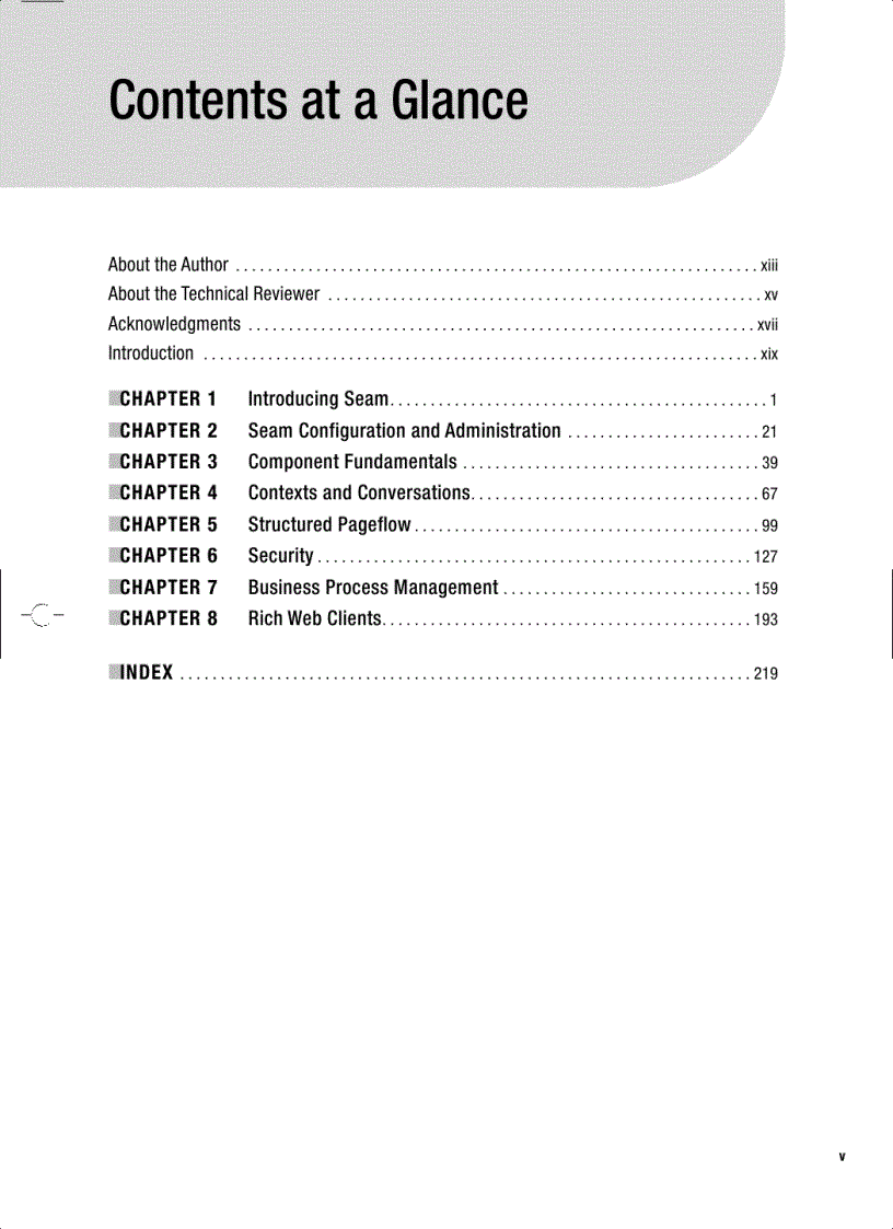 image for page Practical JBoss Seam Projects