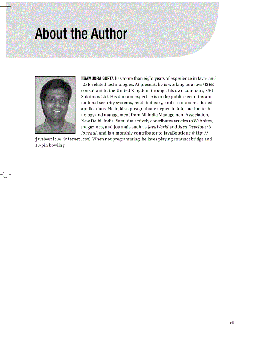 image for page Pro Apache Log4j