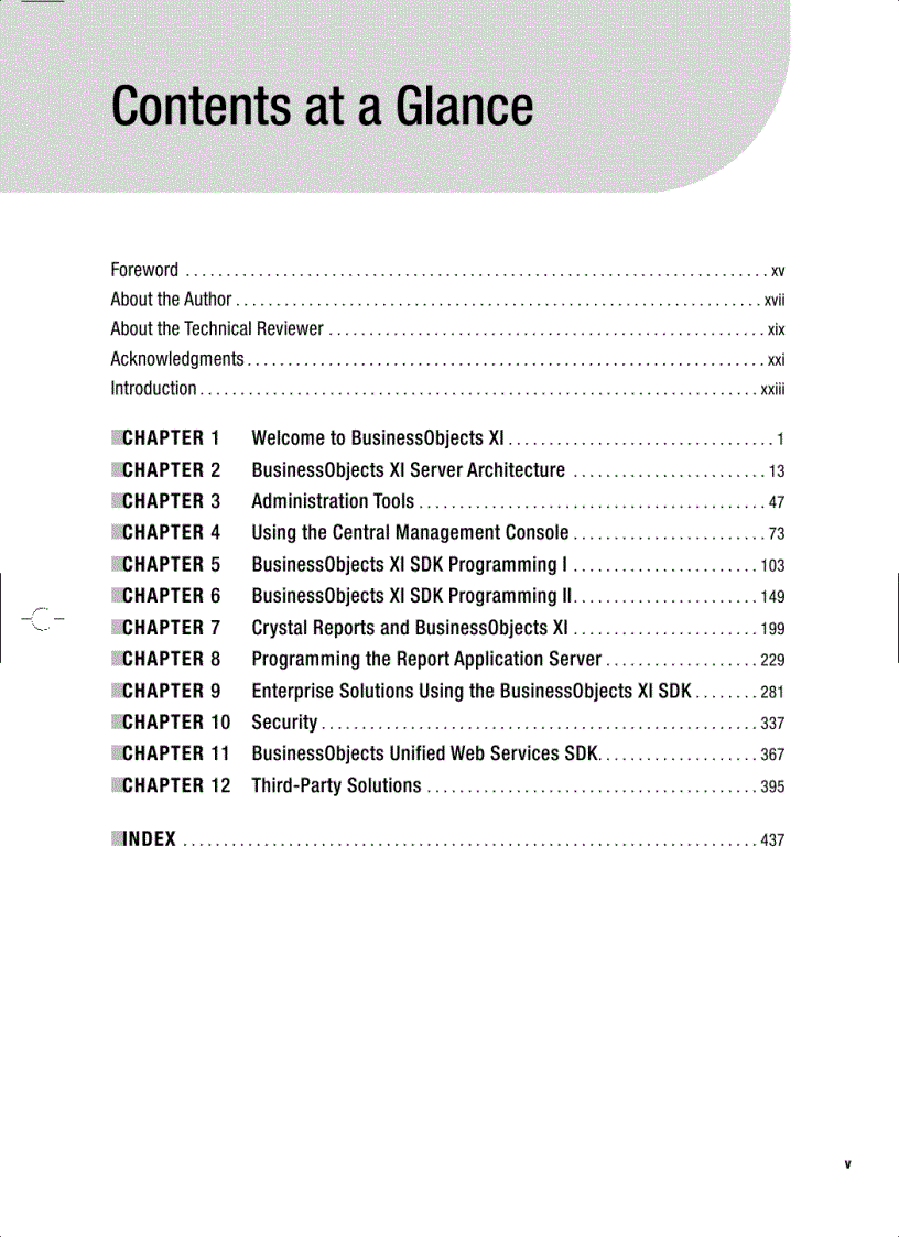 image for page Pro Crystal Enterprise Business Objects XI Programming