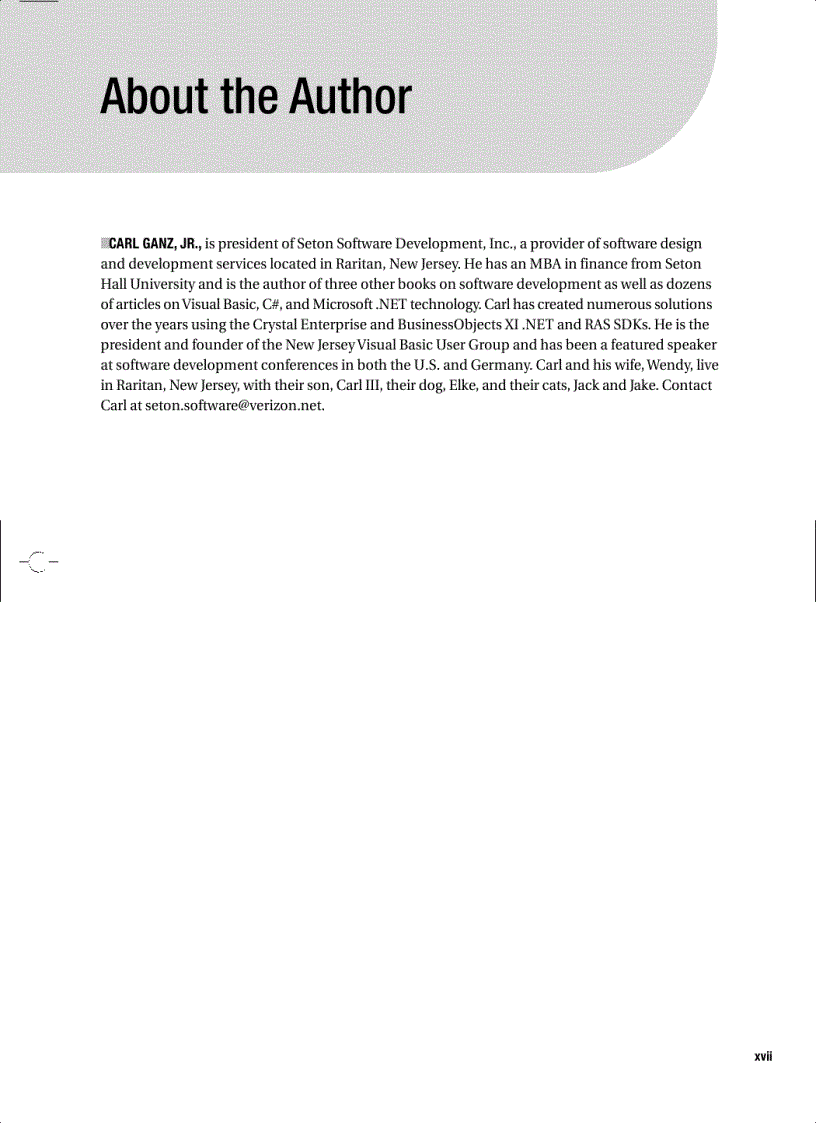 image for page Pro Crystal Enterprise Business Objects XI Programming