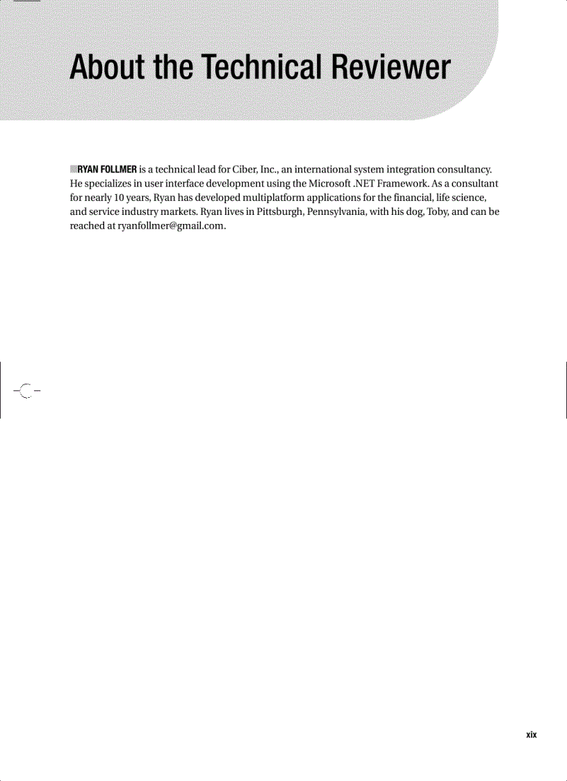 image for page Pro Crystal Enterprise Business Objects XI Programming