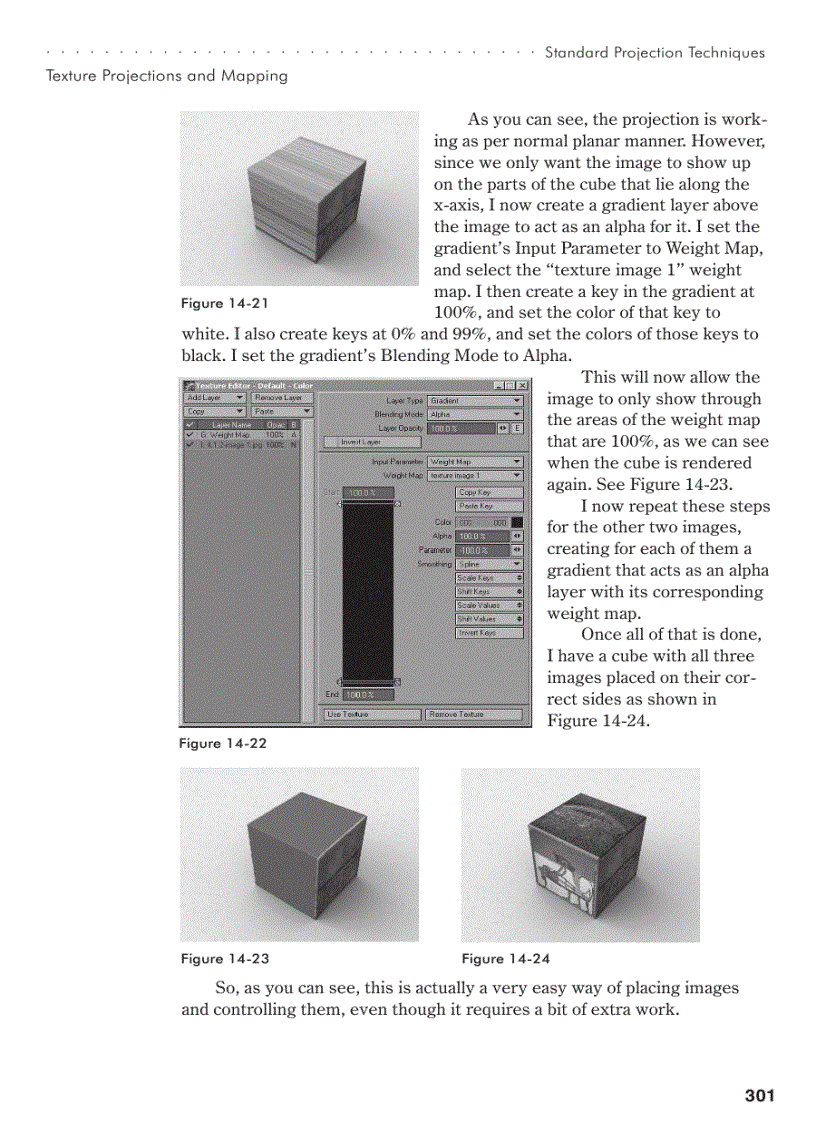 image for page Standard Projection Techniques